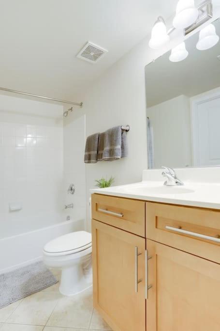 Condo With Gym And Pool In Pentagon City 8Min To Dca Arlington Dış mekan fotoğraf